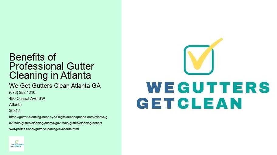 Benefits of Professional Gutter Cleaning in Atlanta 