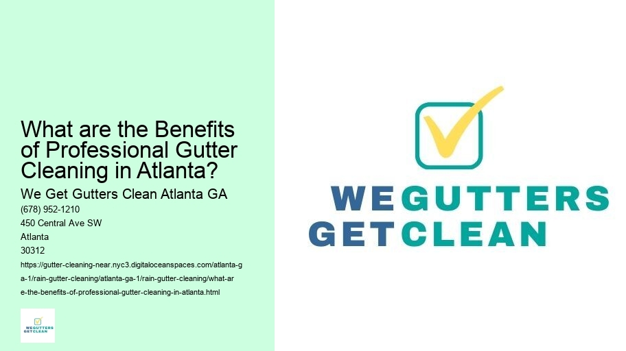 What are the Benefits of Professional Gutter Cleaning in Atlanta?