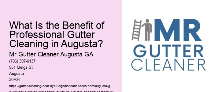 What Is the Benefit of Professional Gutter Cleaning in Augusta?
