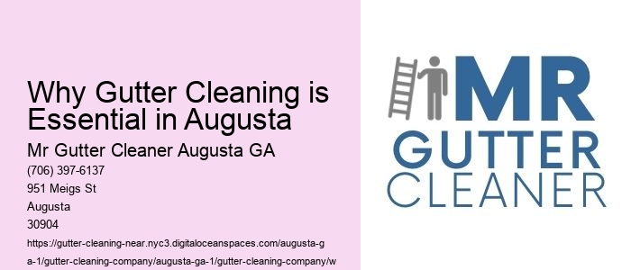 Why Gutter Cleaning is Essential in Augusta 