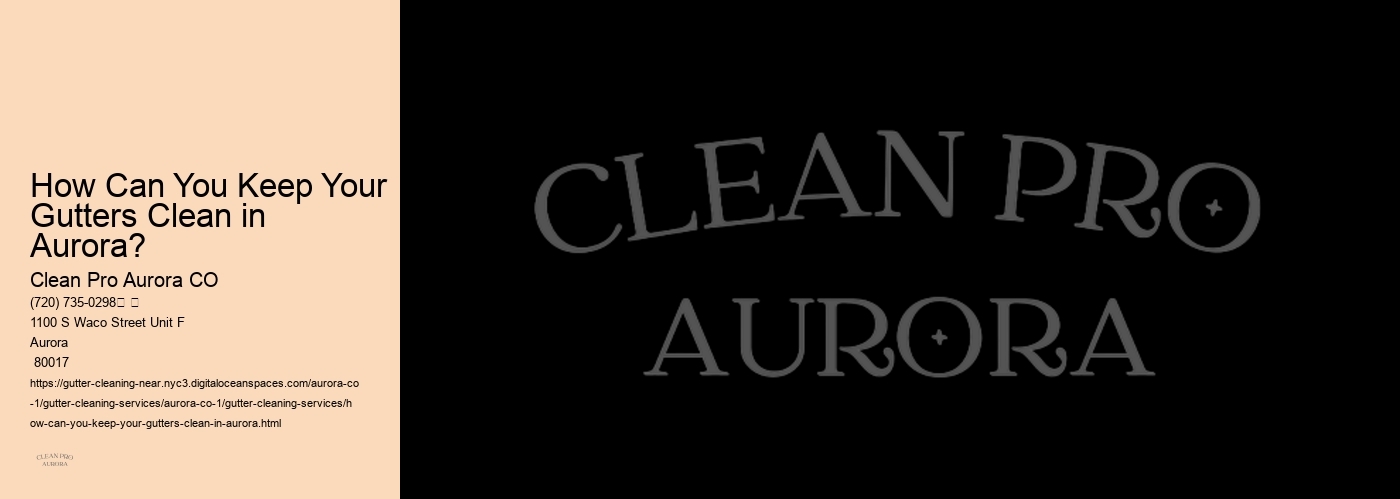 How Can You Keep Your Gutters Clean in Aurora?