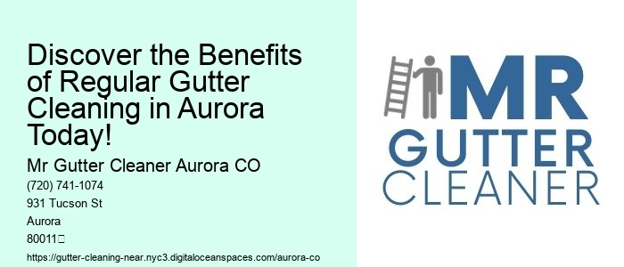 Discover the Benefits of Regular Gutter Cleaning in Aurora Today!