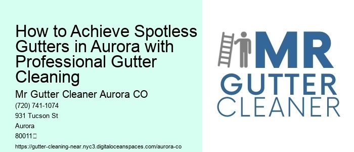 How to Achieve Spotless Gutters in Aurora with Professional Gutter Cleaning 