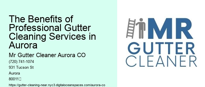 The Benefits of Professional Gutter Cleaning Services in Aurora 