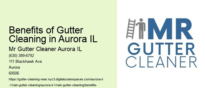 Benefits of Gutter Cleaning in Aurora IL 