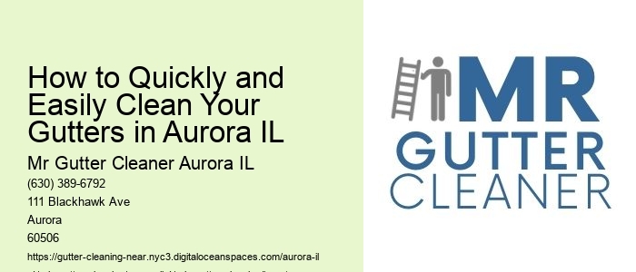 How to Quickly and Easily Clean Your Gutters in Aurora IL 