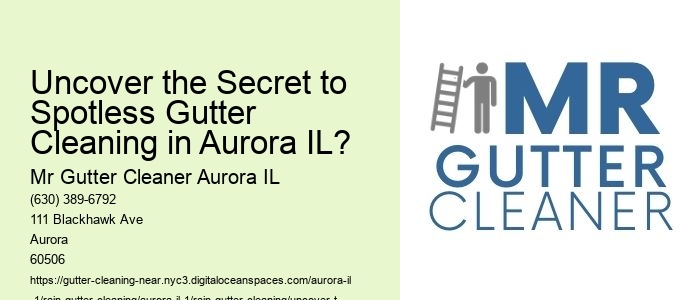 Uncover the Secret to Spotless Gutter Cleaning in Aurora IL?