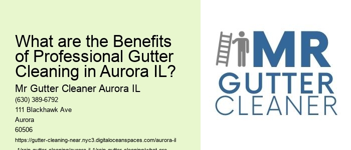 What are the Benefits of Professional Gutter Cleaning in Aurora IL?
