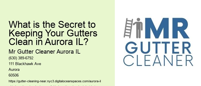 What is the Secret to Keeping Your Gutters Clean in Aurora IL? 