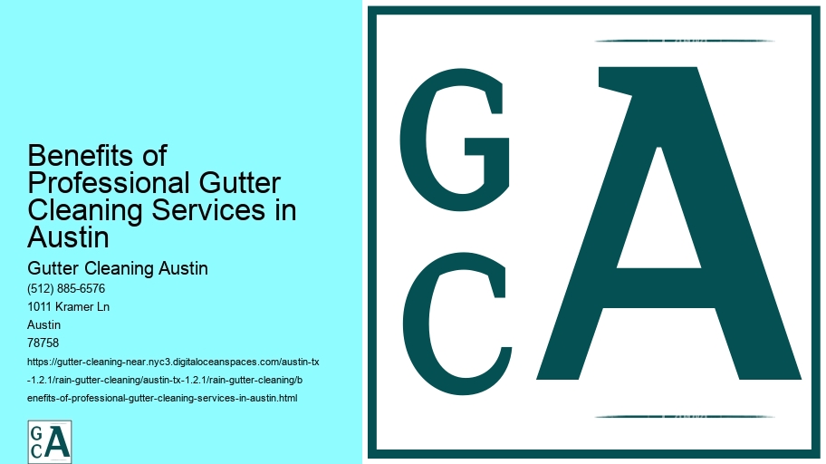 Benefits of Professional Gutter Cleaning Services in Austin 