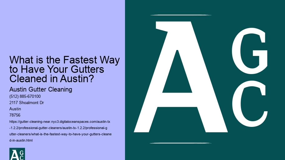 What is the Fastest Way to Have Your Gutters Cleaned in Austin?