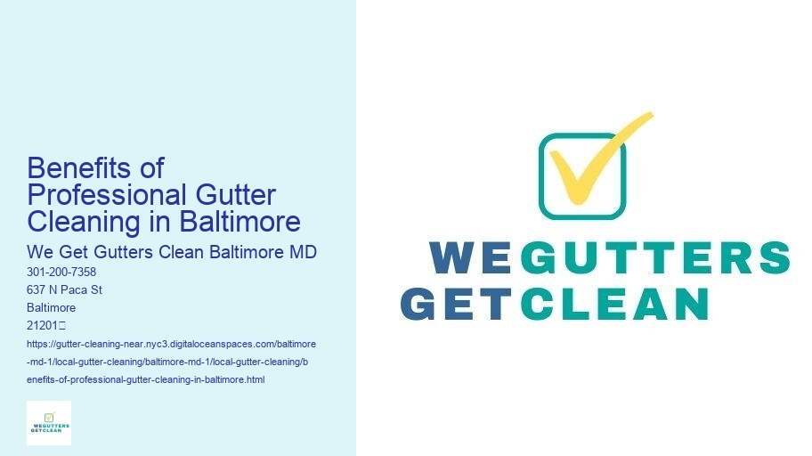 Benefits of Professional Gutter Cleaning in Baltimore 