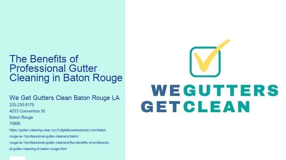 The Benefits of Professional Gutter Cleaning in Baton Rouge 