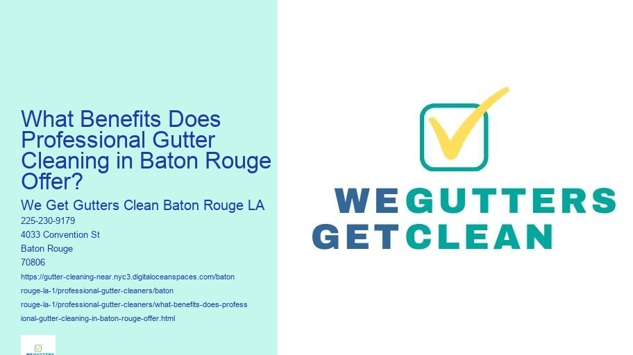 What Benefits Does Professional Gutter Cleaning in Baton Rouge Offer?