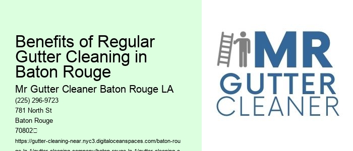 Benefits of Regular Gutter Cleaning in Baton Rouge 