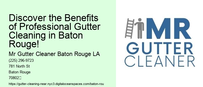 Discover the Benefits of Professional Gutter Cleaning in Baton Rouge!