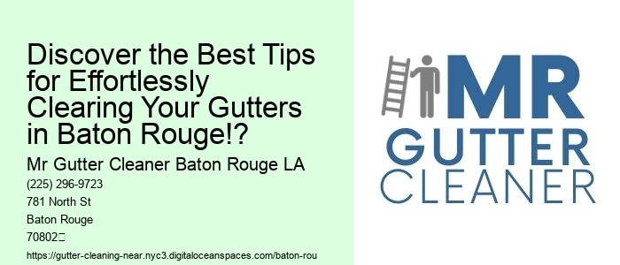 Discover the Best Tips for Effortlessly Clearing Your Gutters in Baton Rouge!?