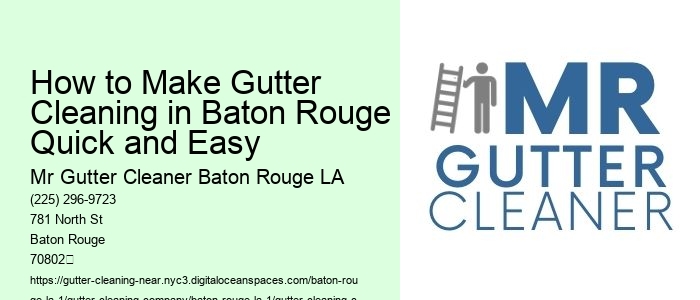 How to Make Gutter Cleaning in Baton Rouge Quick and Easy 