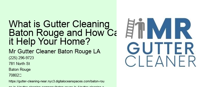 What is Gutter Cleaning Baton Rouge and How Can it Help Your Home? 