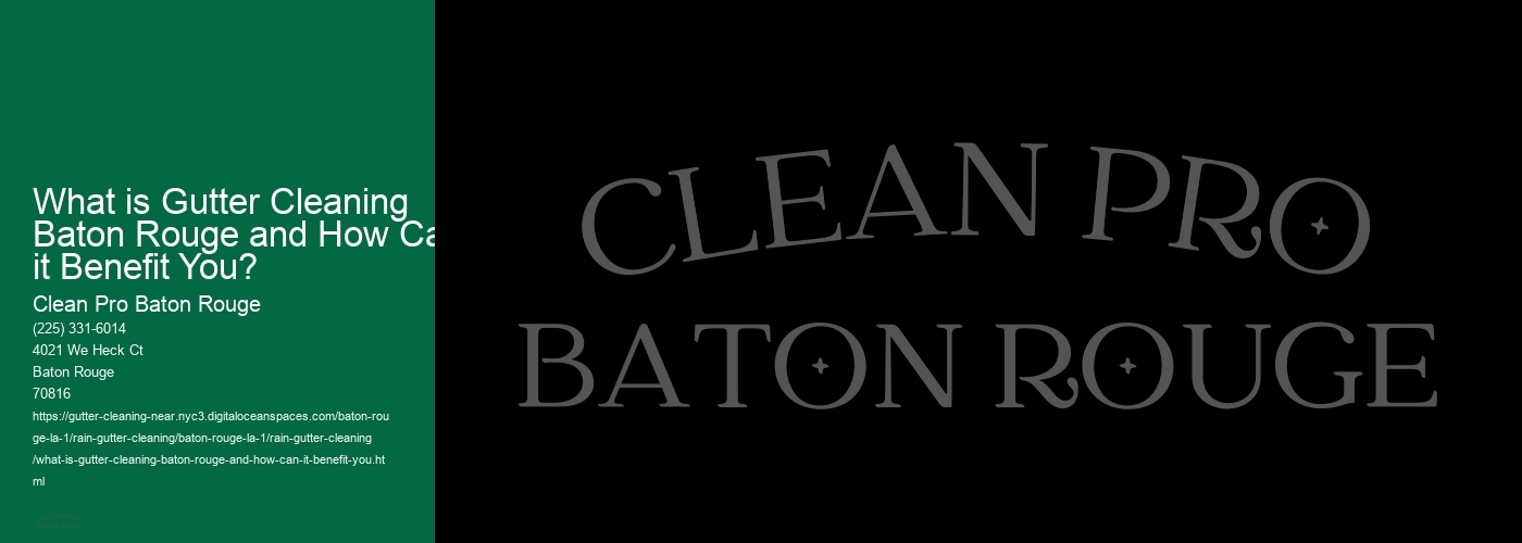 What is Gutter Cleaning Baton Rouge and How Can it Benefit You? 