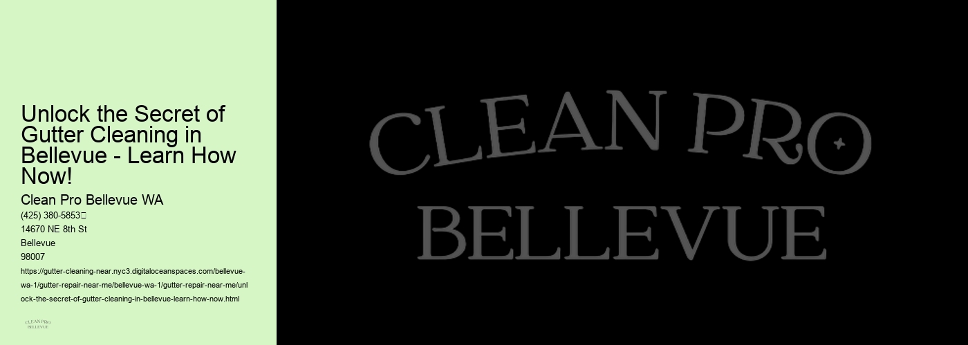 Unlock the Secret of Gutter Cleaning in Bellevue - Learn How Now!