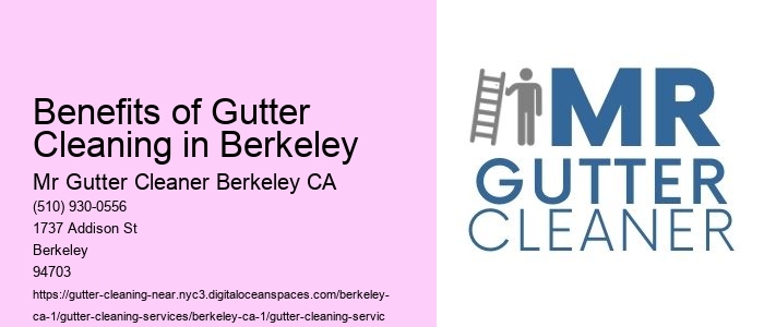 Benefits of Gutter Cleaning in Berkeley 