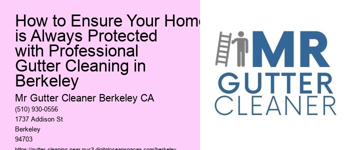 How to Ensure Your Home is Always Protected with Professional Gutter Cleaning in Berkeley 