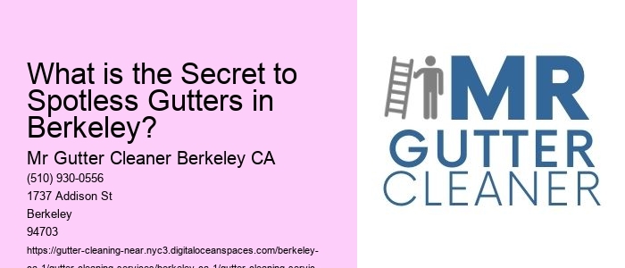 What is the Secret to Spotless Gutters in Berkeley? 