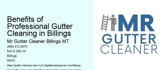 Benefits of Professional Gutter Cleaning in Billings 
