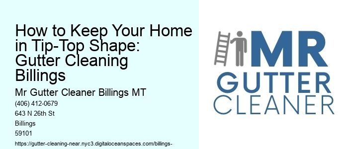 How to Keep Your Home in Tip-Top Shape: Gutter Cleaning Billings 