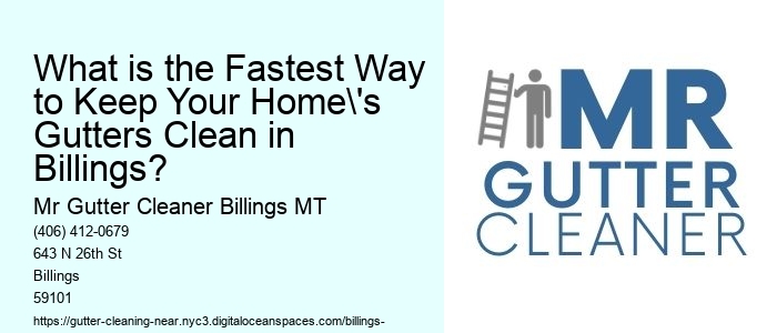 What is the Fastest Way to Keep Your Home's Gutters Clean in Billings?