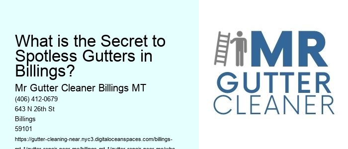 What is the Secret to Spotless Gutters in Billings? 