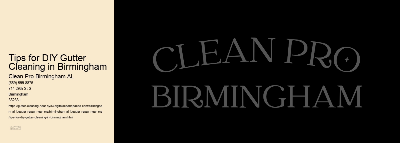 Tips for DIY Gutter Cleaning in Birmingham 