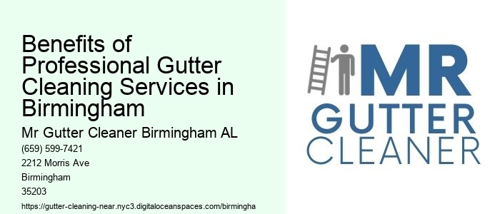 Benefits of Professional Gutter Cleaning Services in Birmingham 