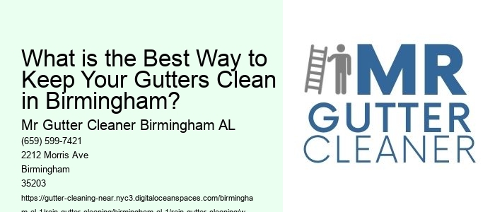 What is the Best Way to Keep Your Gutters Clean in Birmingham? 