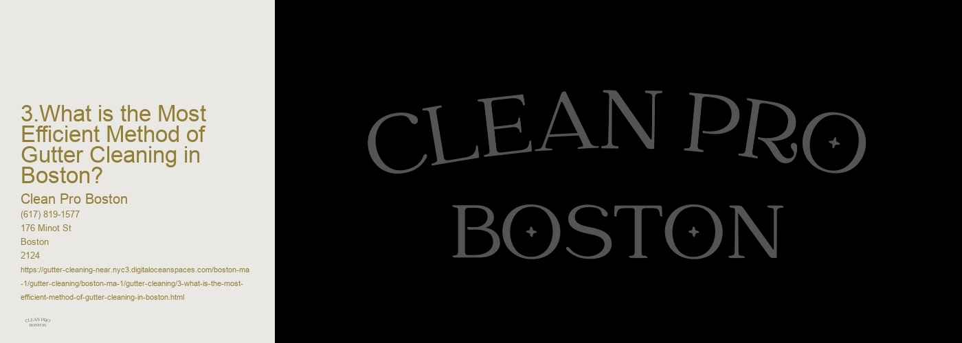 3.What is the Most Efficient Method of Gutter Cleaning in Boston? 