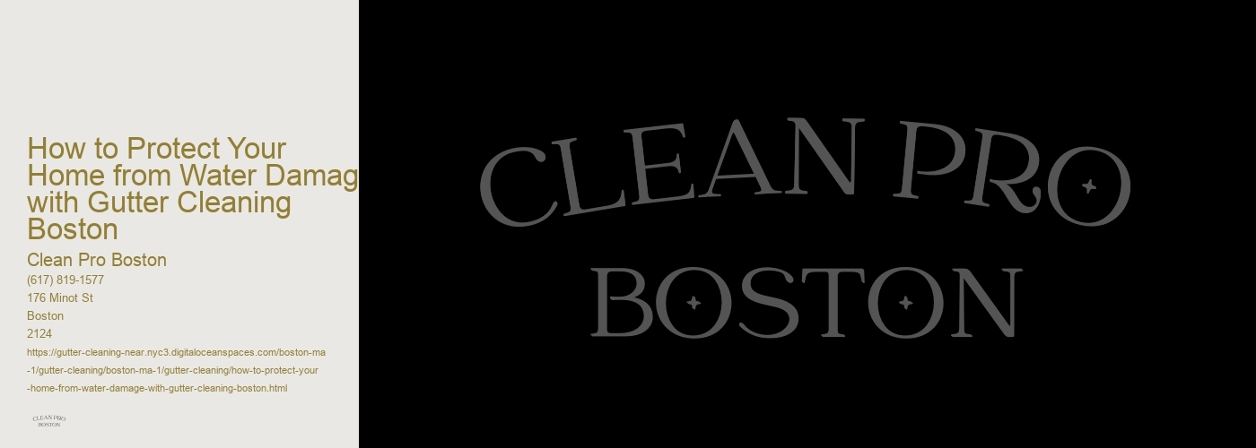 How to Protect Your Home from Water Damage with Gutter Cleaning Boston 