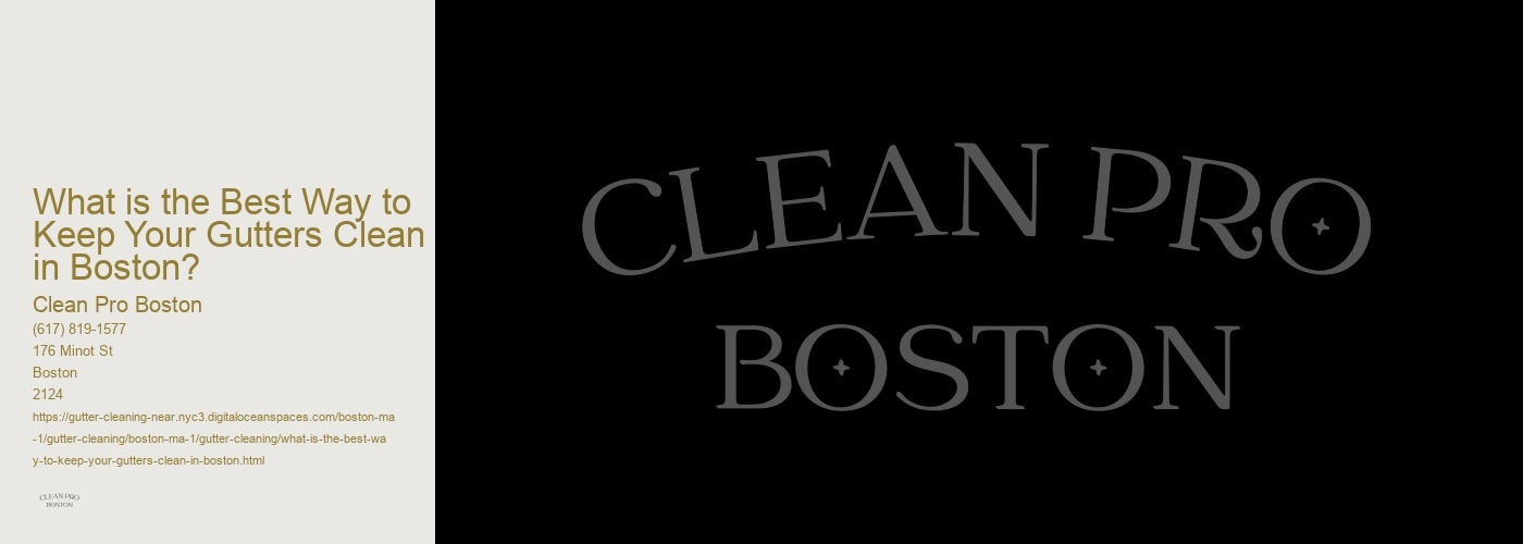 What is the Best Way to Keep Your Gutters Clean in Boston? 