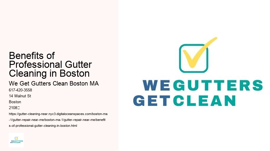 Benefits of Professional Gutter Cleaning in Boston 