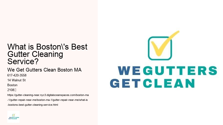 What is Boston's Best Gutter Cleaning Service? 