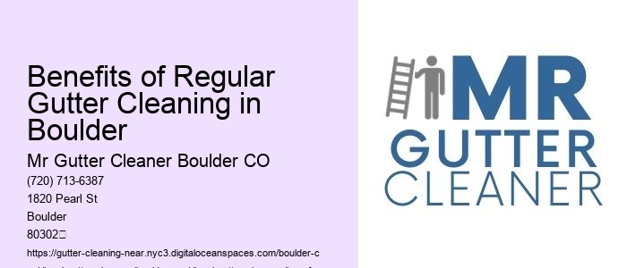 Benefits of Regular Gutter Cleaning in Boulder 