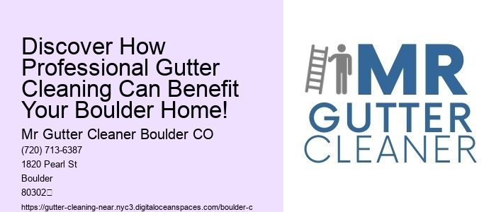 Discover How Professional Gutter Cleaning Can Benefit Your Boulder Home!