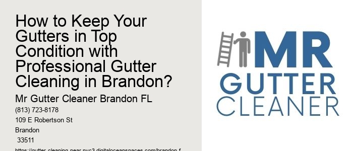 How to Keep Your Gutters in Top Condition with Professional Gutter Cleaning in Brandon?
