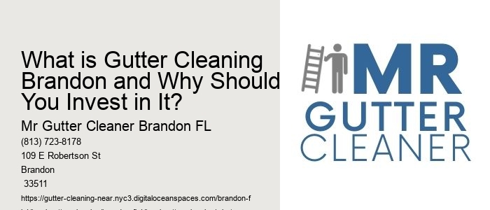 What is Gutter Cleaning Brandon and Why Should You Invest in It? 