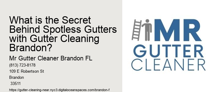 What is the Secret Behind Spotless Gutters with Gutter Cleaning Brandon?