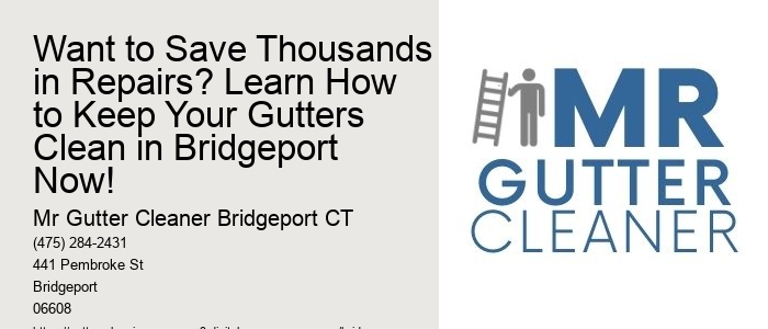 Want to Save Thousands in Repairs? Learn How to Keep Your Gutters Clean in Bridgeport Now!