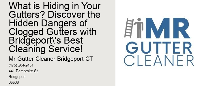 What is Hiding in Your Gutters? Discover the Hidden Dangers of Clogged Gutters with Bridgeport's Best Cleaning Service! 