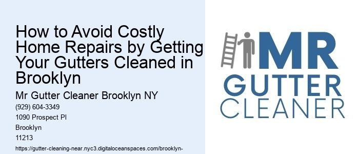How to Avoid Costly Home Repairs by Getting Your Gutters Cleaned in Brooklyn
