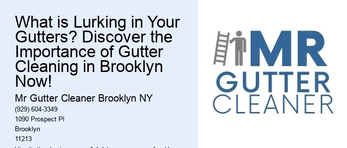 What is Lurking in Your Gutters? Discover the Importance of Gutter Cleaning in Brooklyn Now!