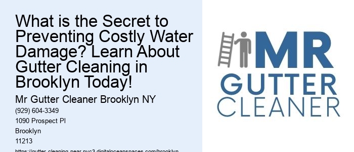 What is the Secret to Preventing Costly Water Damage? Learn About Gutter Cleaning in Brooklyn Today!